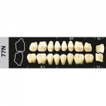 Зубы Major-28 шт (Super Lux) арт96021  А2